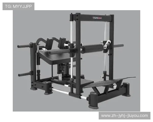 高端品牌健身器材市场价格趋势深度报告